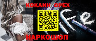 шишки Обь