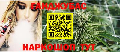 шишки Обь